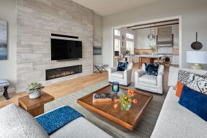 Residential Living Room - Santa Rosa, CA              